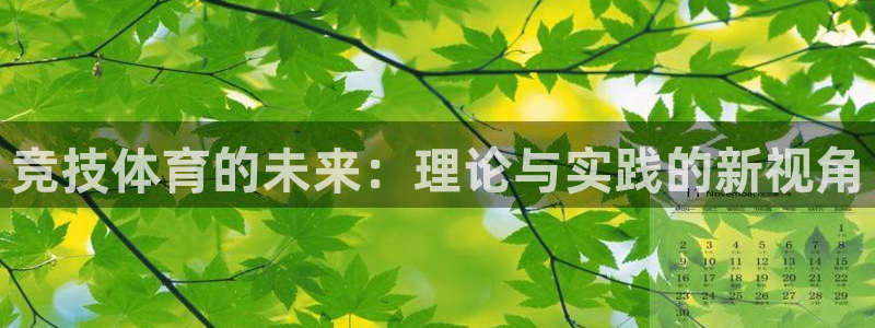 竞技体育的未来：理论与实践的新视角
