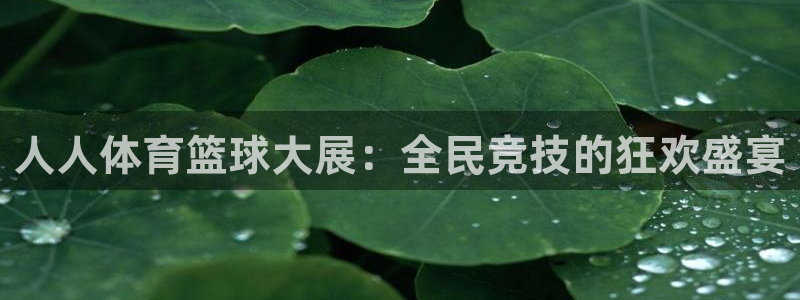 人人体育篮球大展：全民竞技的狂欢盛宴