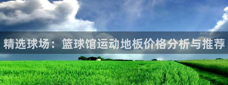 精选球场：篮球馆运动地板价格分析与推荐