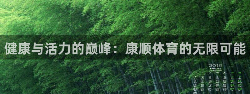健康与活力的巅峰：康顺体育的无限可能