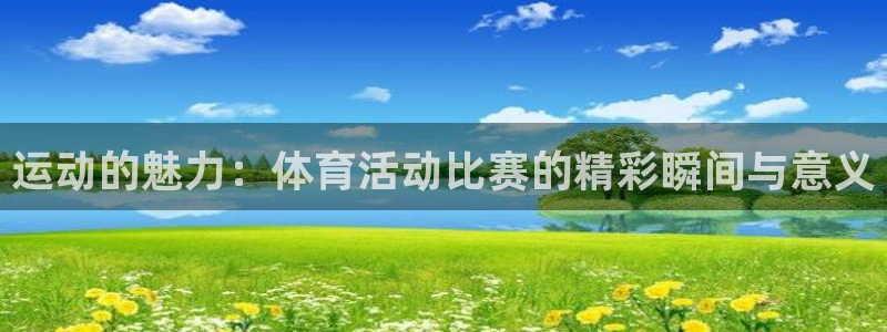 运动的魅力：体育活动比赛的精彩瞬间与意义